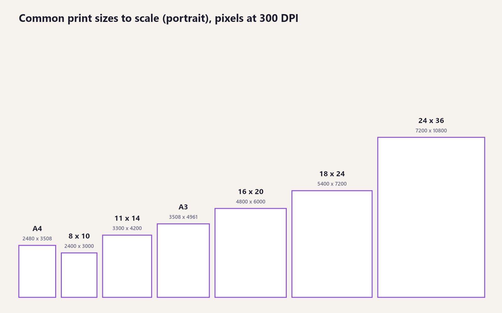 Seven rectangles drawn to scale showing A4, 8x10, 11x14, A3, 16x20, 18x24 and 24x36 inch prints with their pixel dimensions at 300 DPI