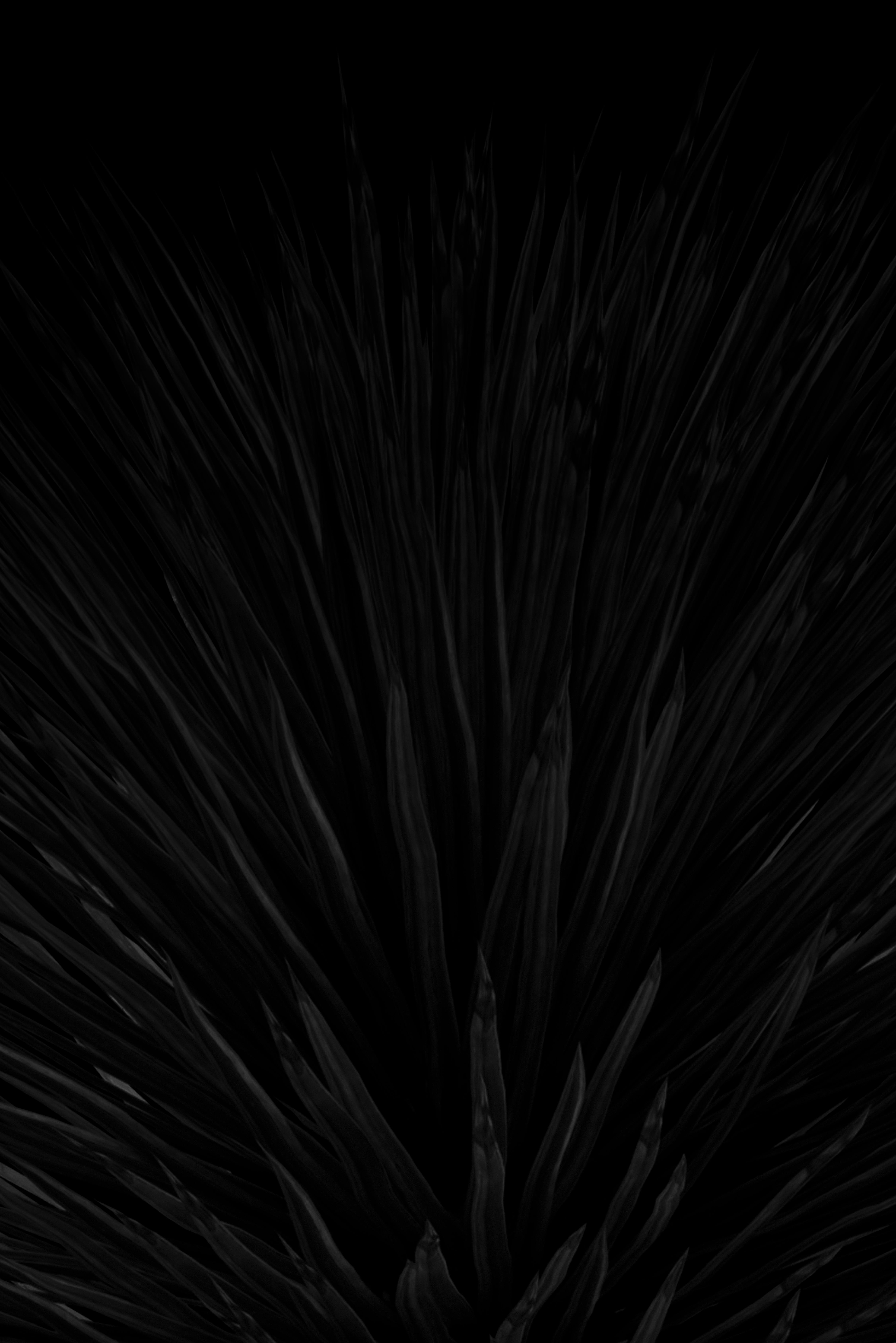 Fine line sound wave art over a nature photo background